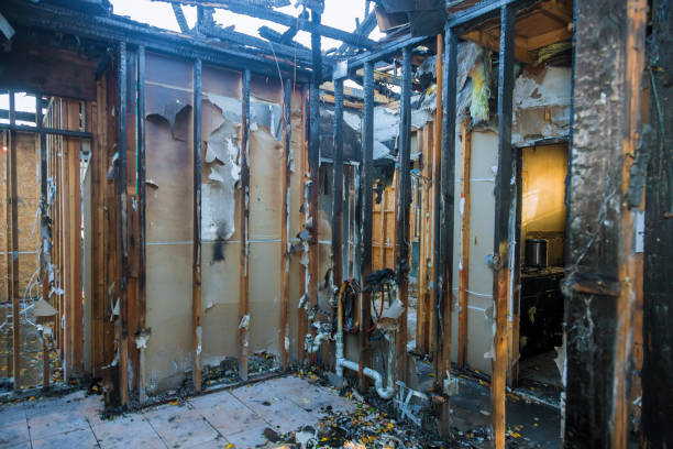 Professional Fire Damage Removal technician working in Sherman, IL